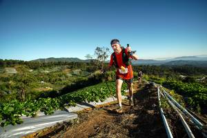 BIB: 
                            <button type="button" onclick="openModal(19116844)" class="btn btn-primary btn-sm float-right btn-popup" data-toggle="modal" data-target=".modal-high-quality">
                        <i class="fas fa-shopping-cart"></i> Add to Cart
                    </button>
                                            <button type="button" onclick="isThisMe(19116844, true)" class="btn btn-success btn-sm float-right btn-popup btn-isme hidden" data-toggle="tooltip" data-placement="bottom" title="นี่คือรูปของคุณใช่ไหม คลิกที่นี่เพื่อเอาเข้าอัลบั้ม">
                        <i class="fas fa-plus"></i> Add to album
                    </button>
                    <button type="button" onclick="isThisMe(19116844, false)" class="btn btn-warning btn-sm float-right btn-popup btn-isnotme hidden">
                        <i class="fas fa-ban"></i> Remove from album
                    </button>